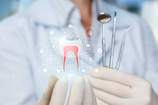 Trusted Applewood, CO Holistic Dental Care Services Experts